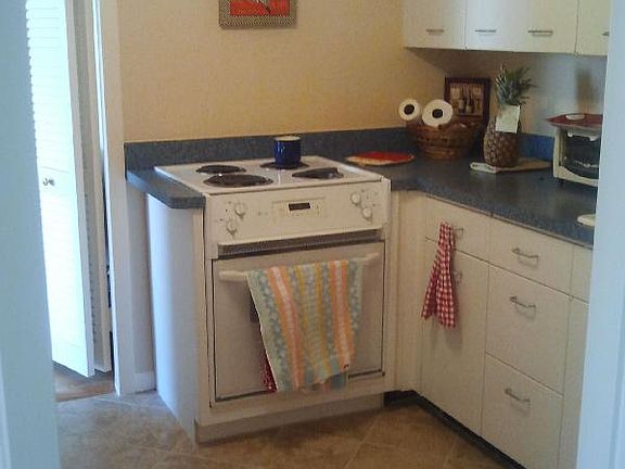 3rd image of 1255 N Sandburg Ter Unit 1110E