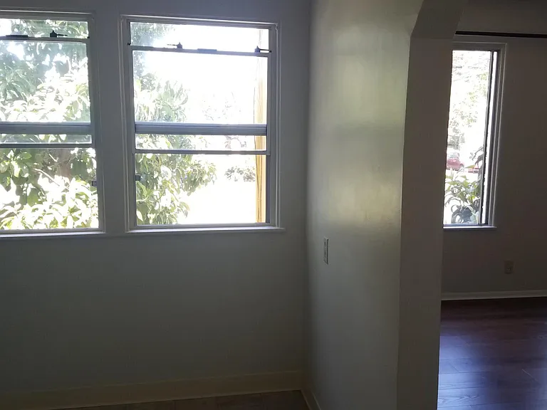 Kitchen and living room windows