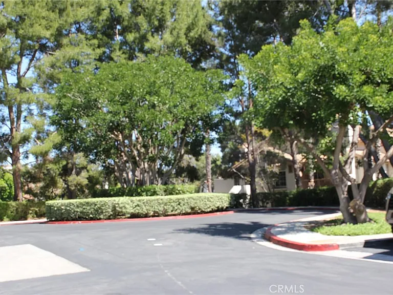 24341 Conejo #1 — Photo 27