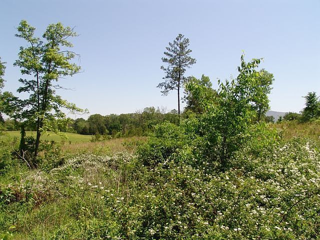 2nd image of 218 Burgess Dr