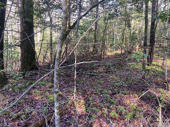 5th image of TBD Sunrise Court