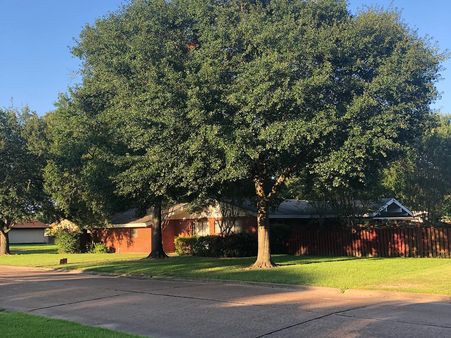 3 bed, 1750 sqft, $2,100 — Photo 3