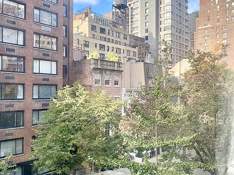 335 E 51st St #3B — Photo 10