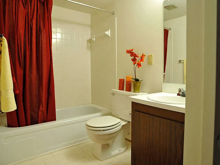 Primrose