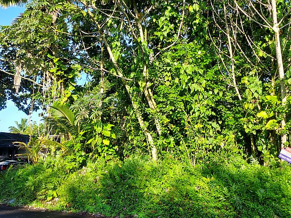 4th image of 15-714 Kahakai Blvd Lot 27
