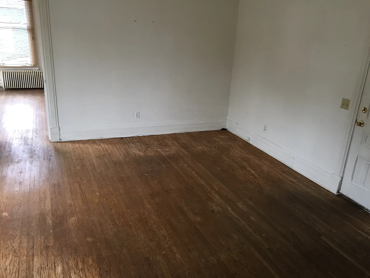 1 bed, 500 sqft, $980 — Photo 3
