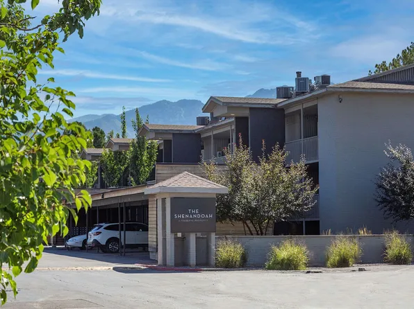 Welcome to The Shenandoah!