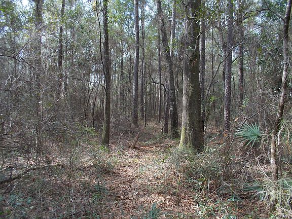 5th image of Creek Rd Lot 10-RIVER