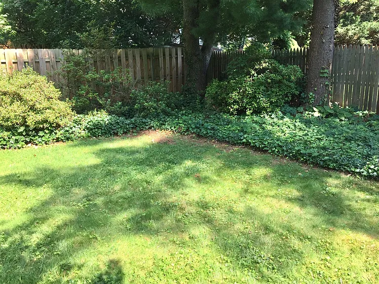 Level grass yard