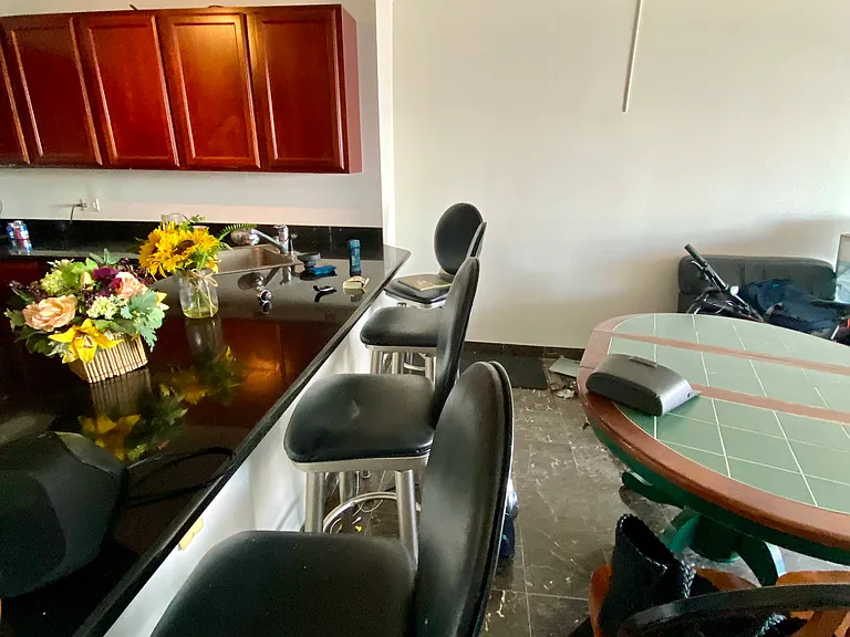 525 W Hawthorne Pl #2105 — Photo 6