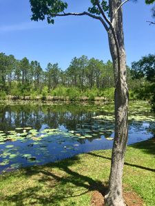 3 Somerset Bridge Rd, Pt Washington, FL, 32459