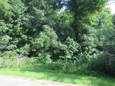 TRACT 7 Brookside Ct, Cassopolis, MI, 49031