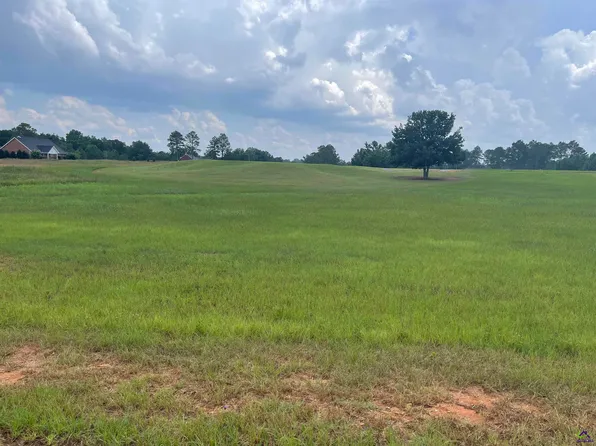 44 Crabapple Dr, Hawkinsville, GA 31036