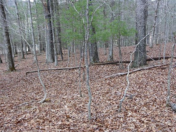 4th image of Happy Woods Rd Lot 27 & 28