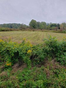0 County Highway 11, Mount Vision, NY, 13810