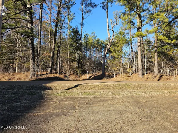 262 Pine Grove Rd, Canton, MS 39046