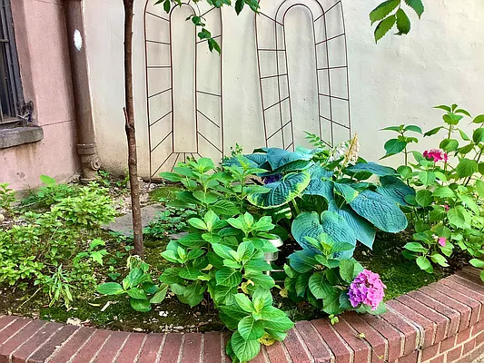 Rented by Corcoran | media 14