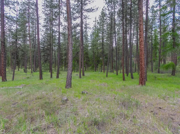 1100 Kitt Narcisse Rd Parcel B, Colville, WA 99114