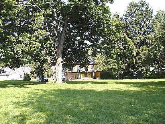 Summer Shot Backyard