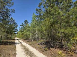 8a Briarwood Drive, Williston, SC 29853