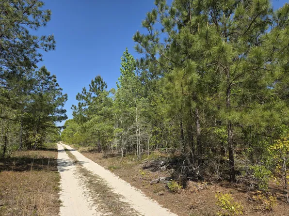 4a Briarwood Drive, Williston, SC 29853