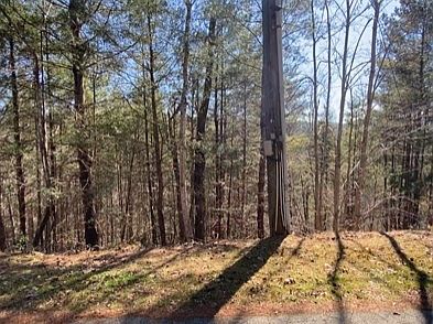 2nd image of 0 Mountain Rest Way Lot 11A