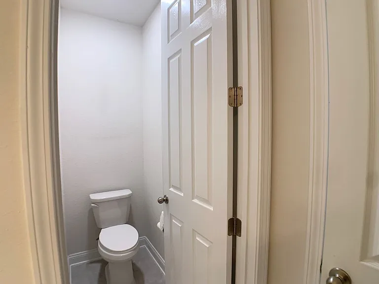 1499 Tropical Pine Cv — Photo 28
