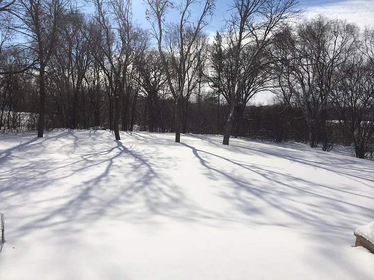 backyard - winter