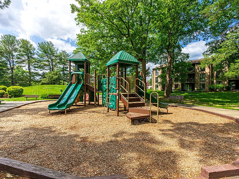 2069 Royal Fern Ct #11B — Photo 23