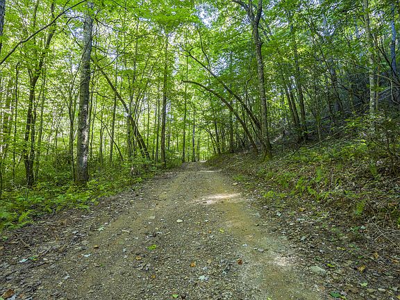 4th image of Tree House Rd