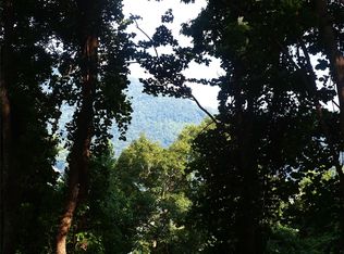 0 Porters Rdg #4, Canton, NC 28716