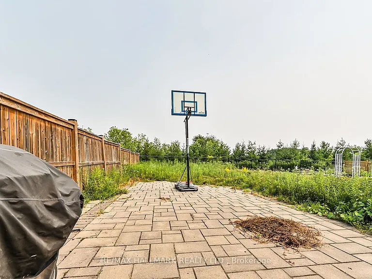 41 Anchusa Dr — Photo 31