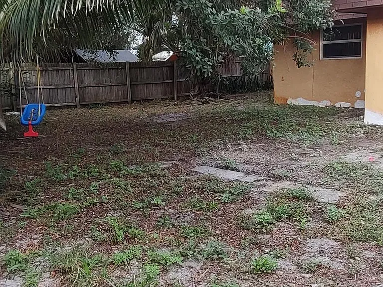 That's your own palm tree!