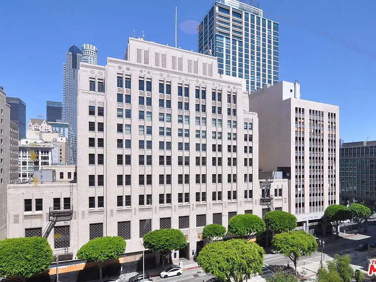 460 S Spring St #701 — Photo 10