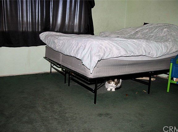 5th image of 41011 Mayberry Ave