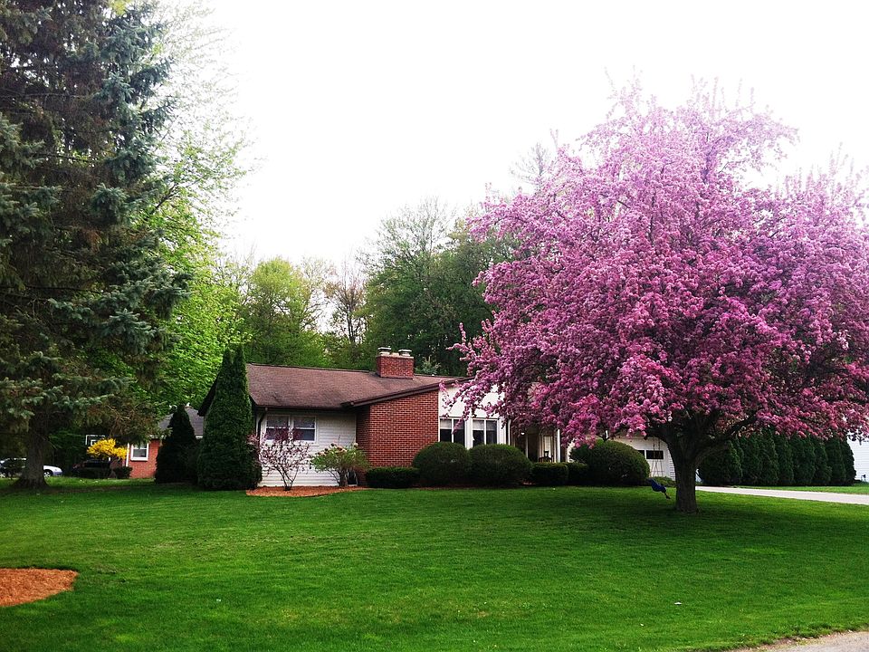 Large 0.3 acre corner lot!