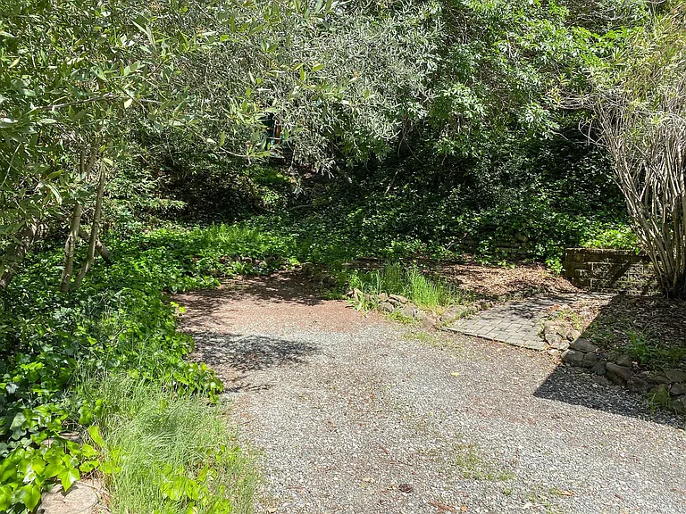 Redwood Ln — Photo 13
