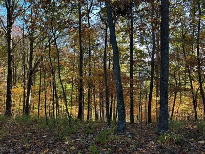 373 Old Highway 18, Tennessee Ridge, TN, 37178