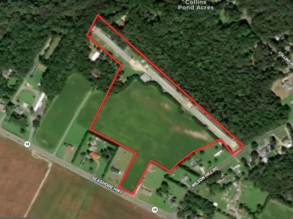 13651 Wilson Hill Rd, Georgetown, DE 19947