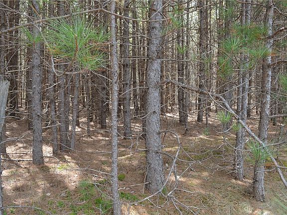 4th image of 0 Frog Creek Road