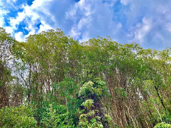 Road 4 Lot 207, Volcano, HI 96785