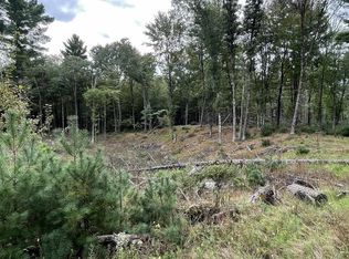 Townline Rd LOT 12, Wisconsin Rapids, WI 54494