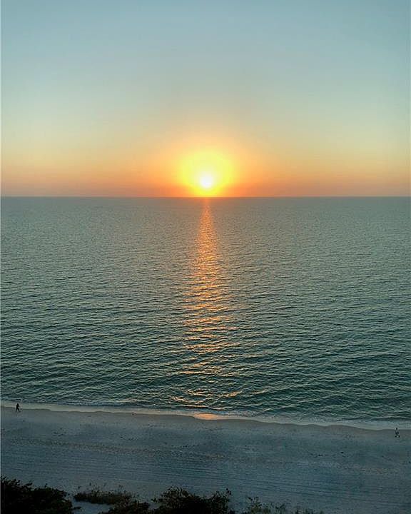 1st image of 4651 Gulf Shore Blvd N APT 1203