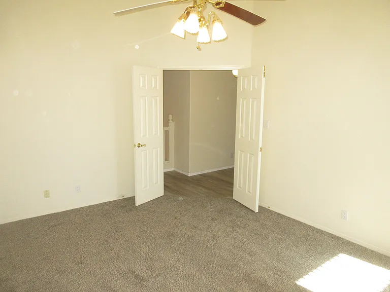 Primar Suite