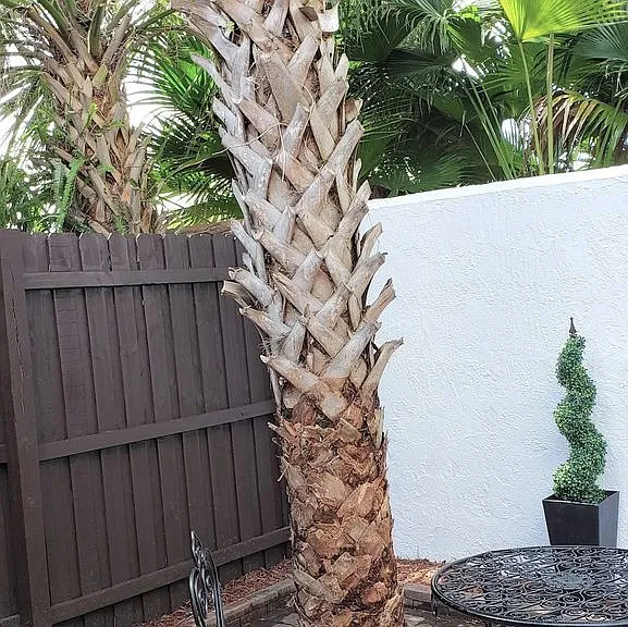 662 Trinidad Ct #662 — Photo 97
