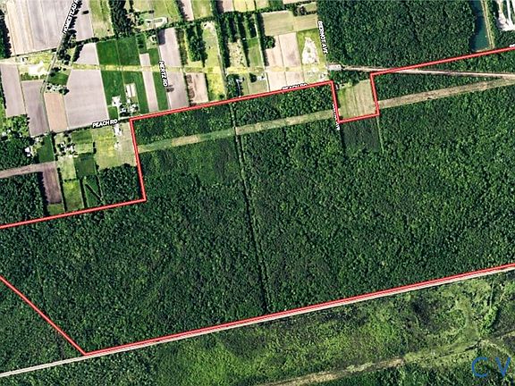 2nd image of Peach Rd