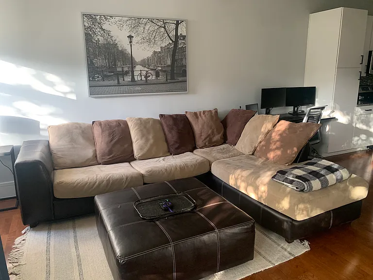 Living room area