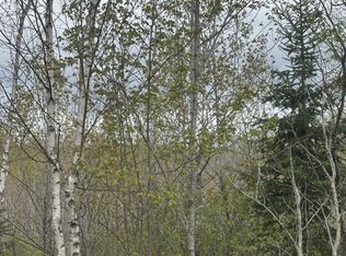 Near Camp Nine Road C #4093, Minocqua, WI 54548