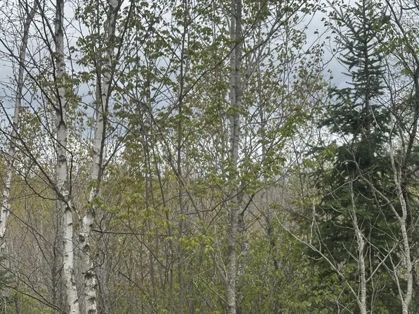 Near Camp Nine Road C #4093, Minocqua, WI 54548