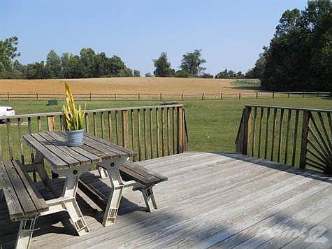 Panoramic Views of Fields & Woods